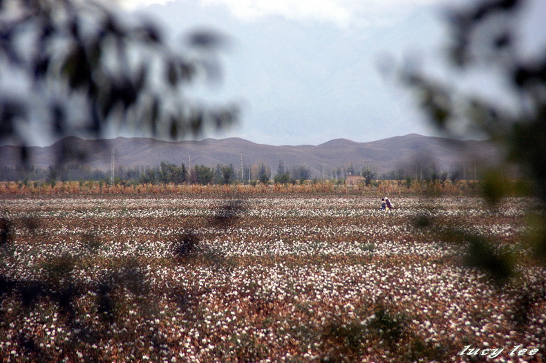 他们叫我小妖精