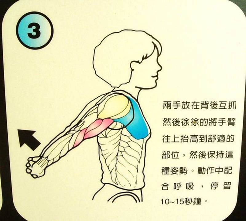 什么筋什么骨的成语_成语故事简笔画(3)