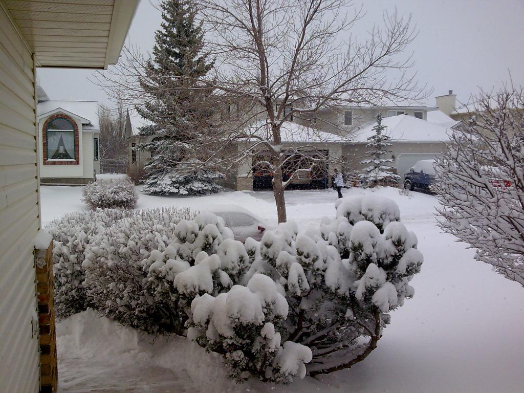 下雪天适合听什么歌?_音乐_奇飞知识网