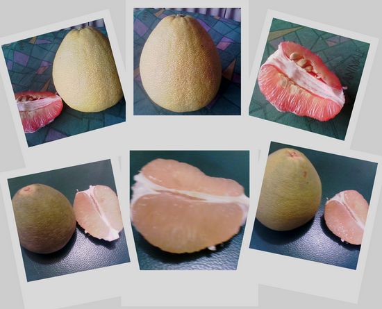 文旦.紅柚.大白柚.花.仙桃 照