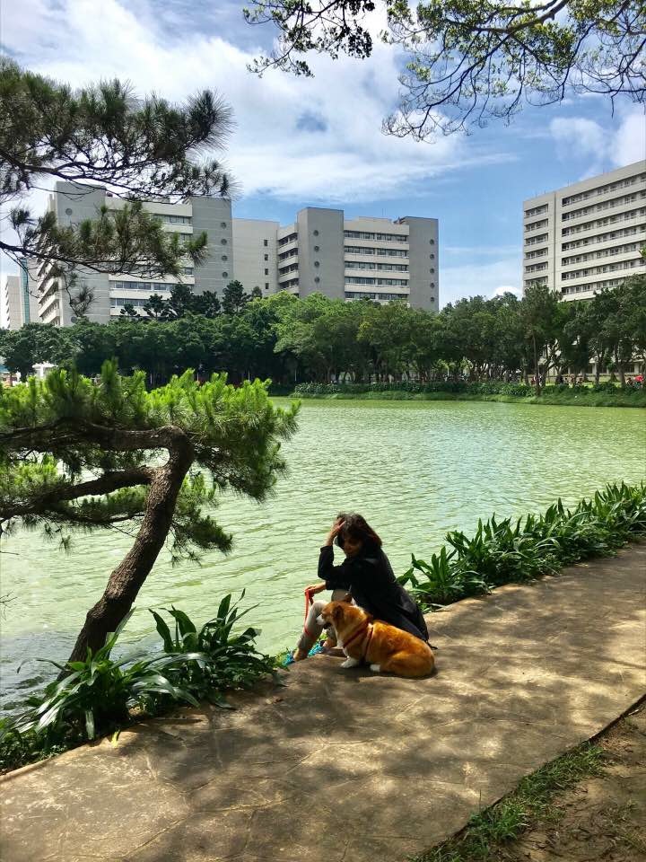 你是春日風