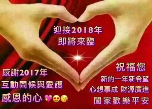 揮別2017年  迎接2018年